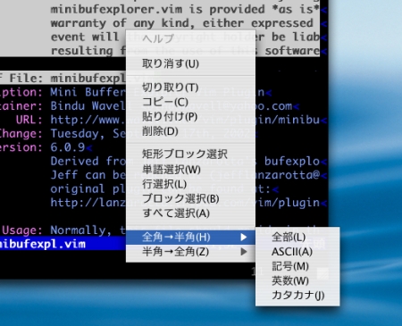 Hz Ja Vim 全角文字 半角文字変換 名無しのvim使い